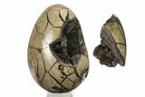 Septarian Dragon Egg Geode - Removable Section #317559-2